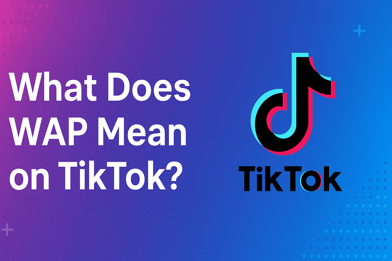 What Does WAP Mean on TikTok?